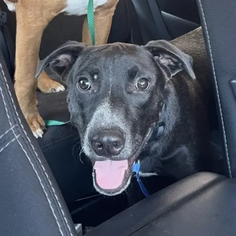 Tux