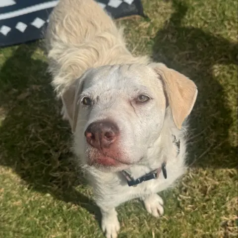 Mia