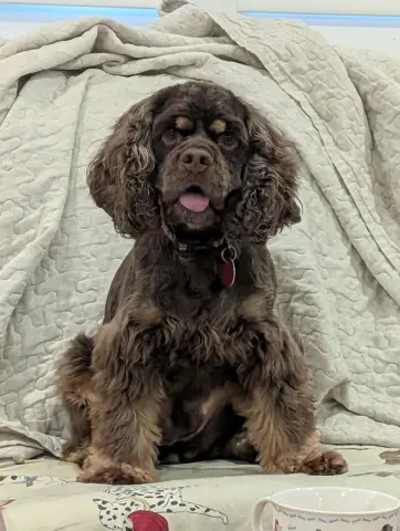 Millie