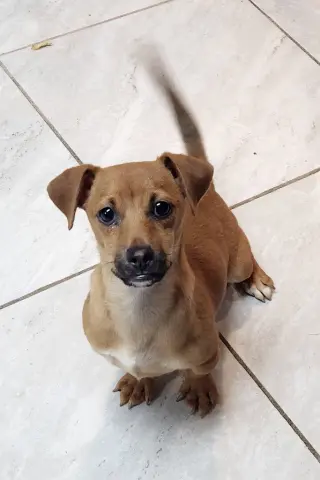 Jimmy John