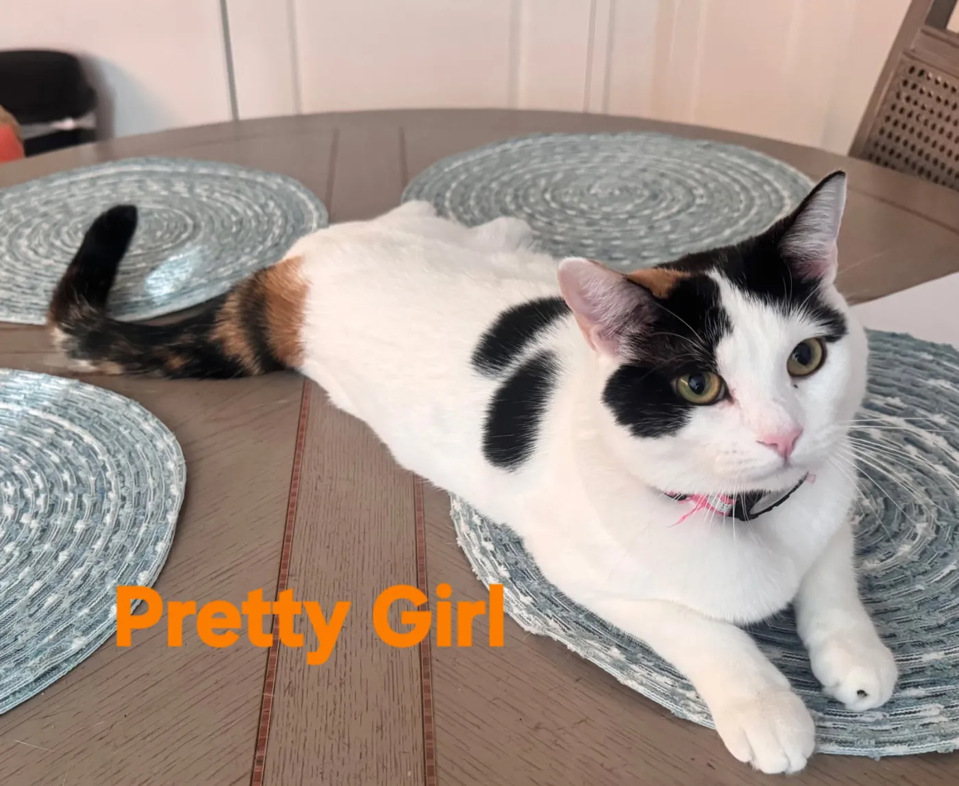 Pretty Girl - Photo 1
