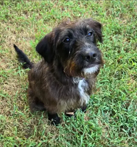 Greta
