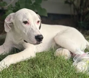 Winnie - Photo 1