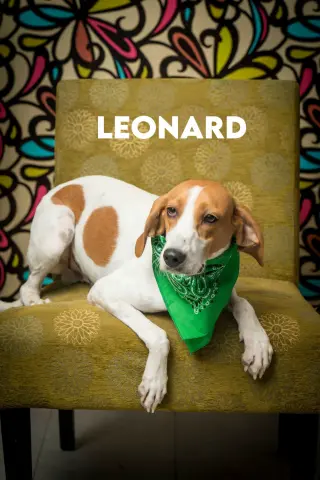 Leonard