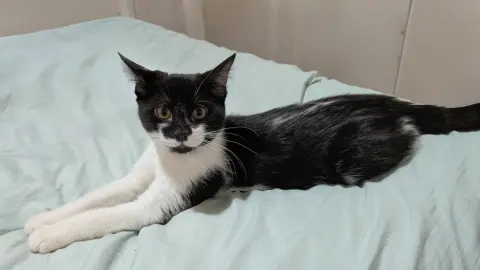 Sugar