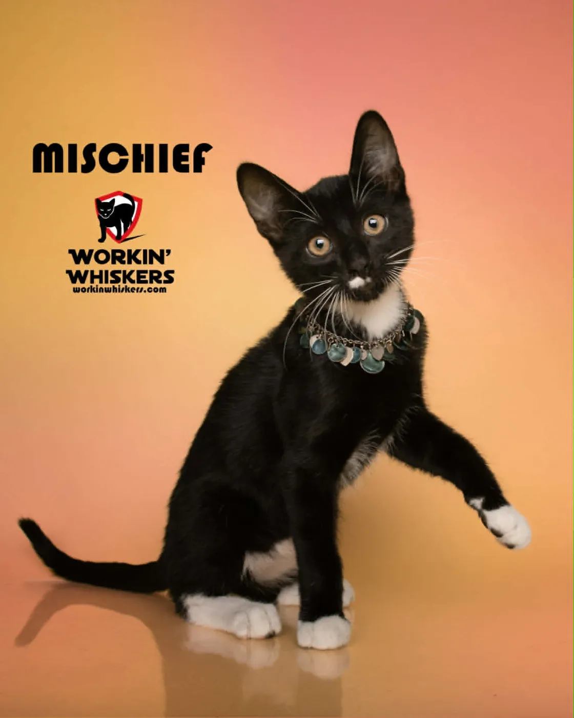 Mischief - Photo 1