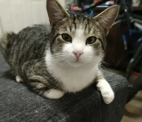 Binx