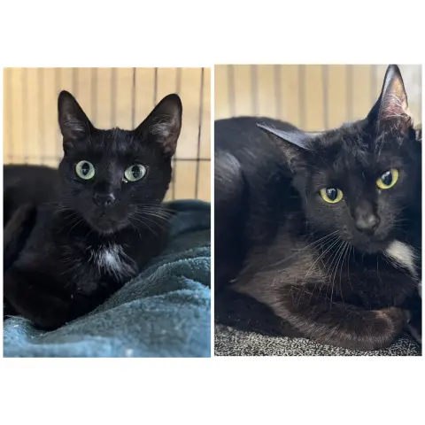 Bella & Cocoa