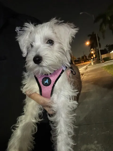 Chloe - Photo 1