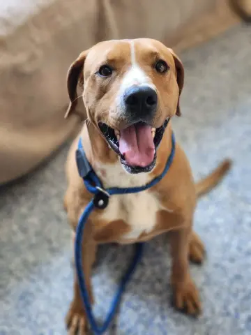 Tucker