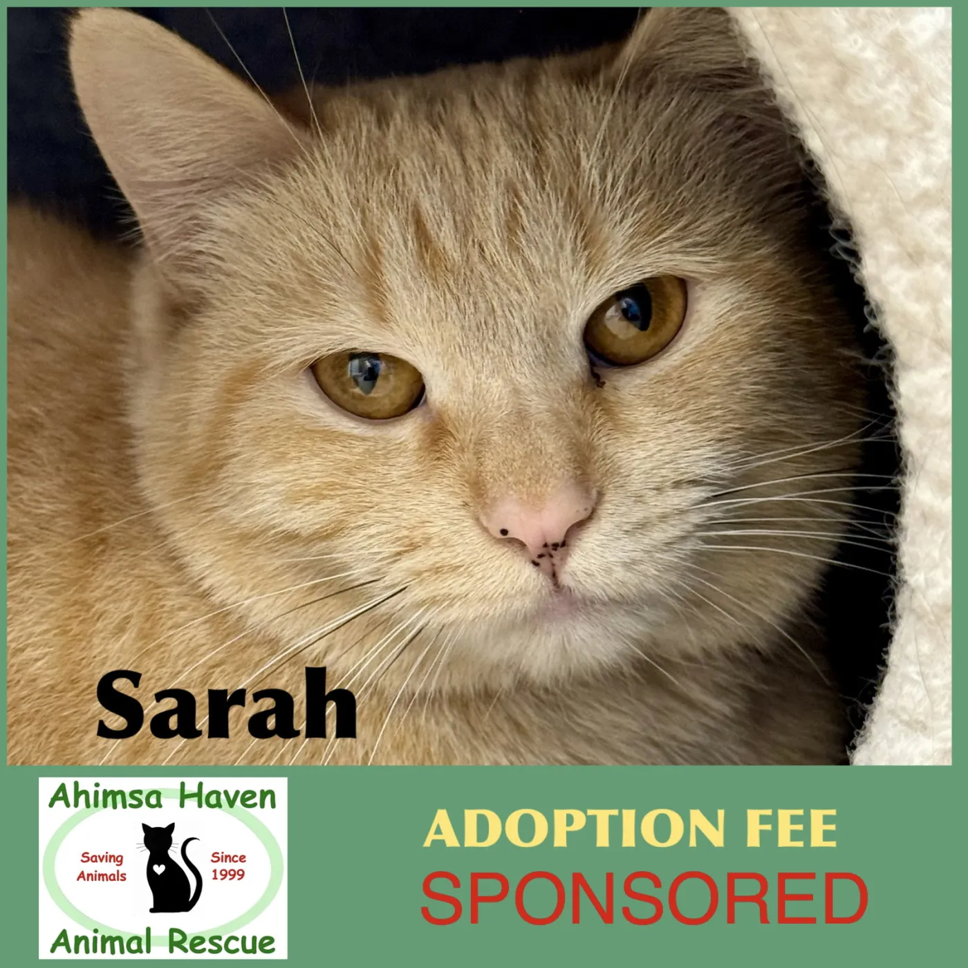 Sarah - Photo 1