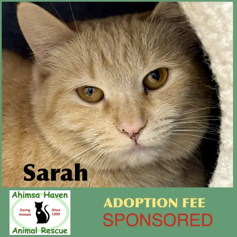 Sarah