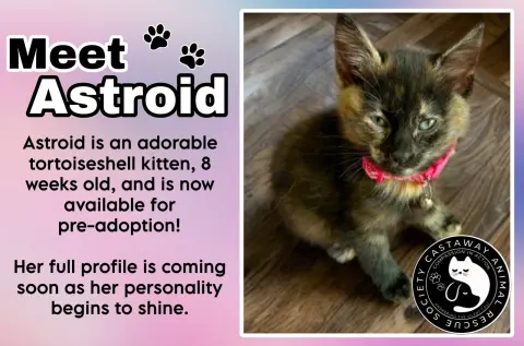 Astroid
