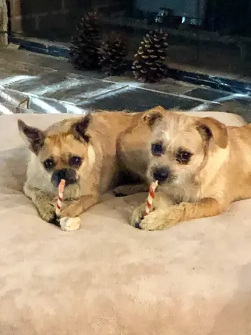Sammy & Chloe