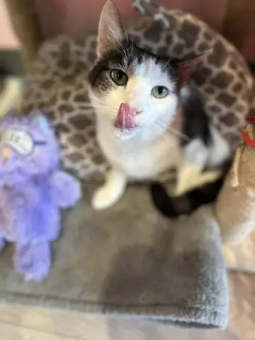 Frank