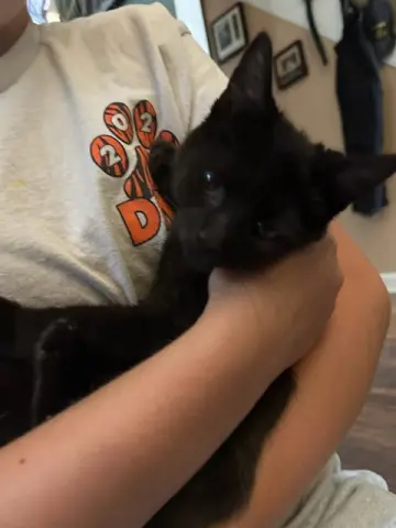 Chloe