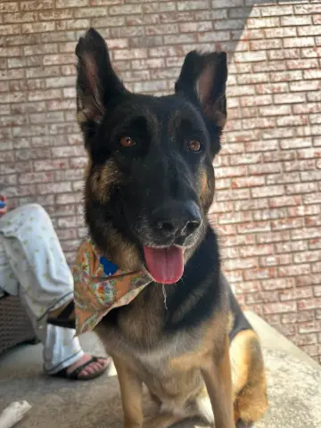 Leni