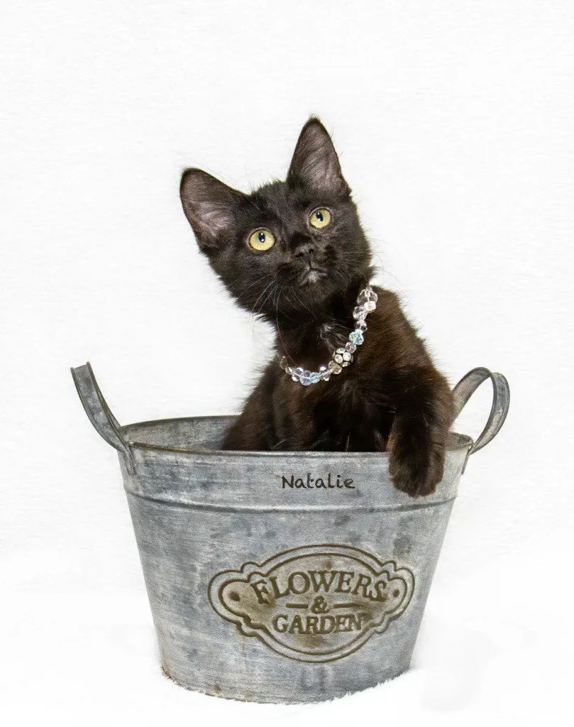 Natalie - Photo 1