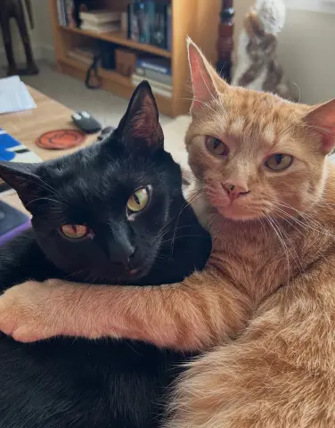 Loki & Baldur