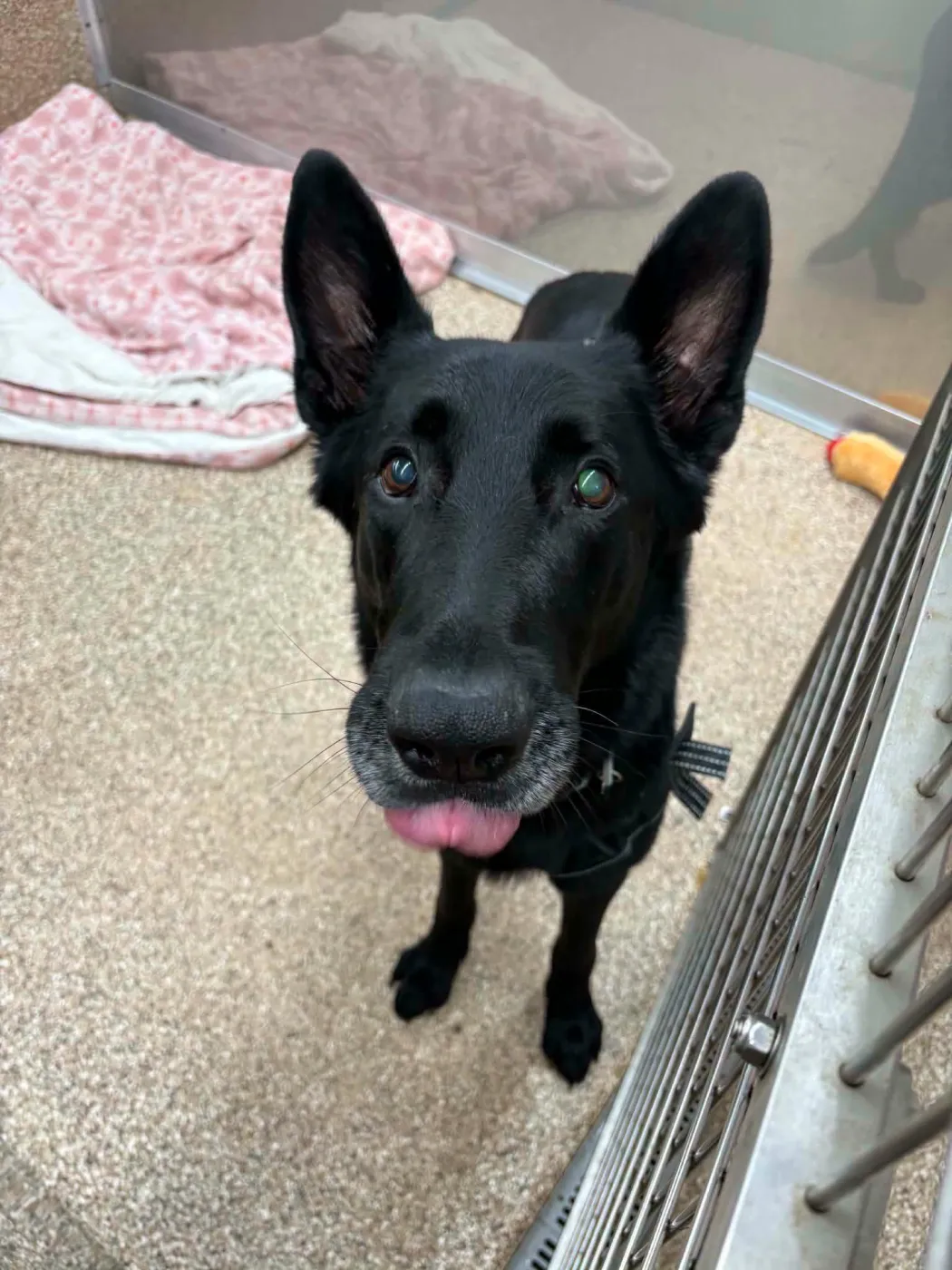Cry Baby - Photo 1
