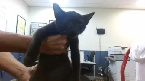 Mimi