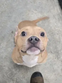 Doing Her Best