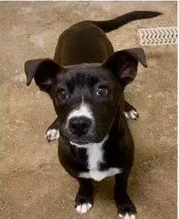 Frank - Photo 1