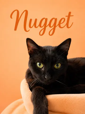 Nugget