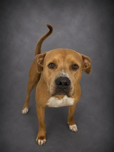 Benny - Photo 1