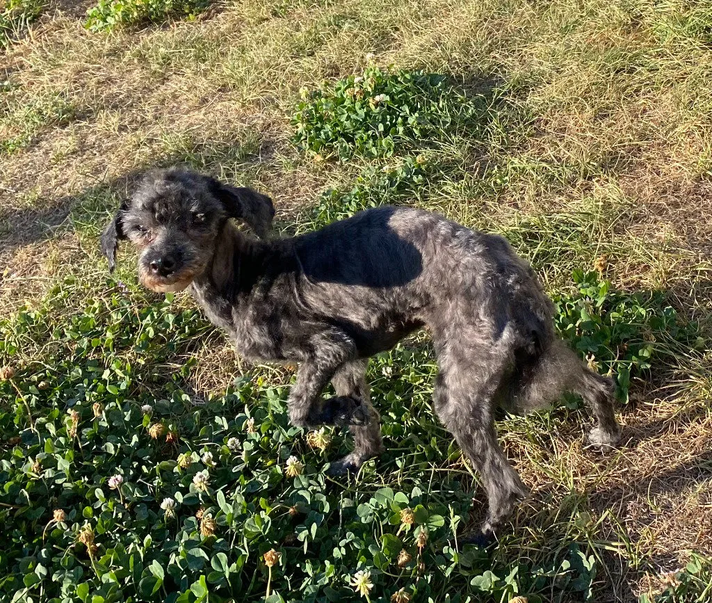 Mabel - Photo 1