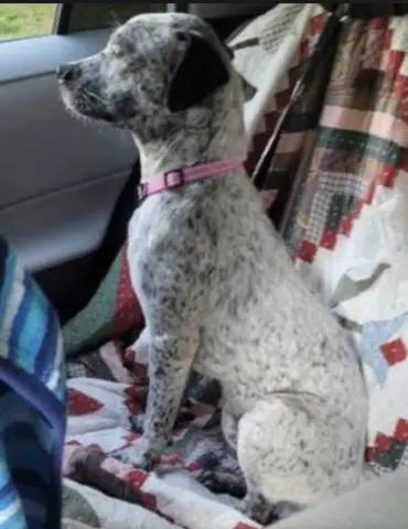 Mimi