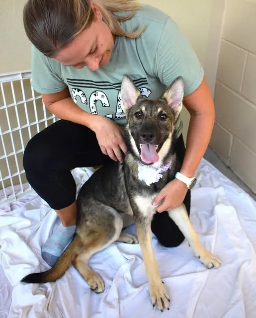 Lyra - Photo 1
