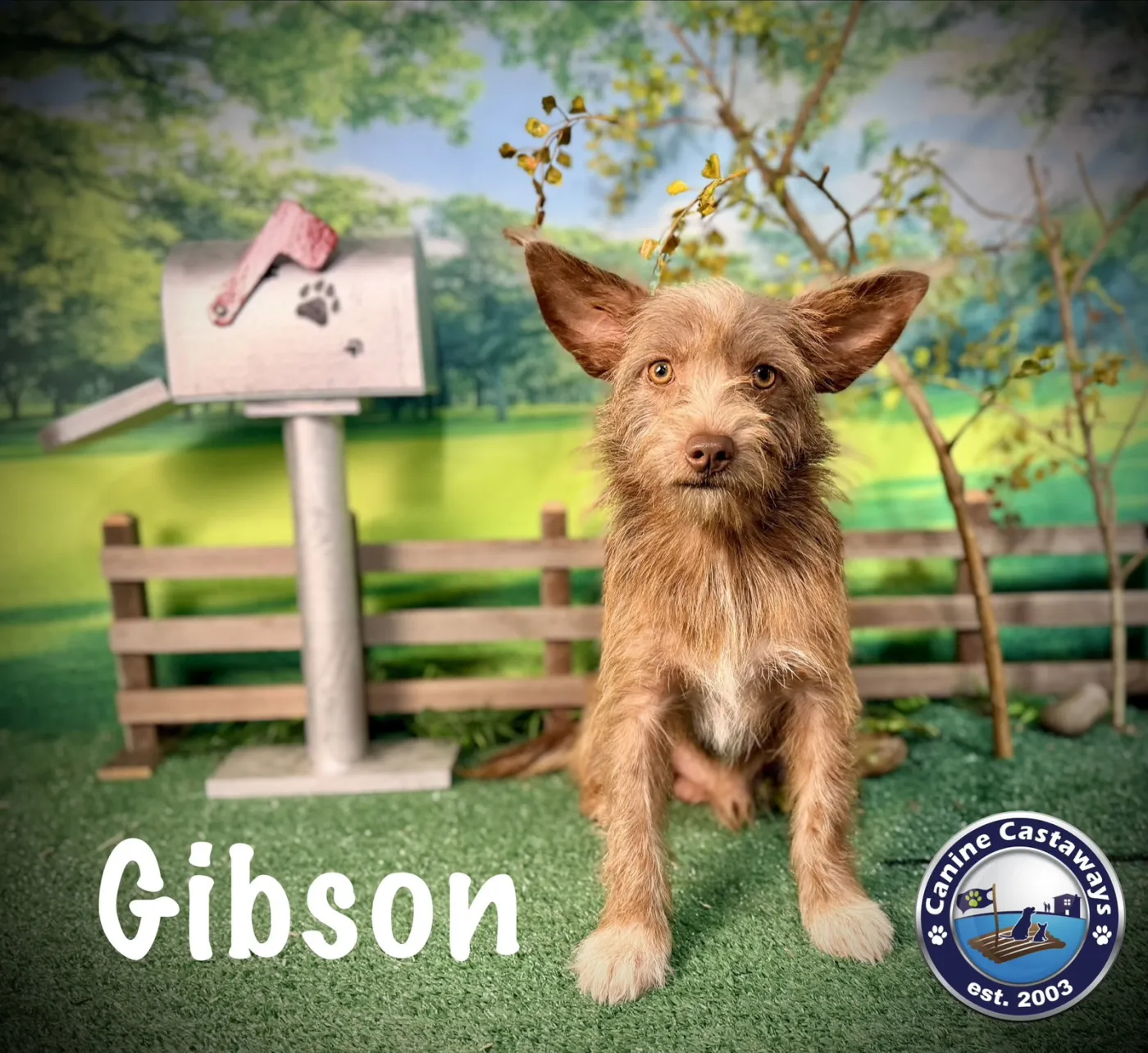 Gibson - Photo 1