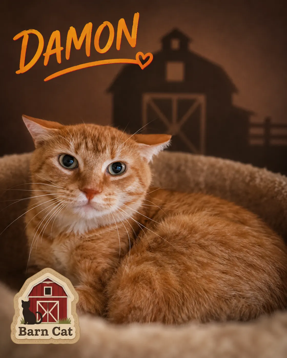 Damon - Photo 1