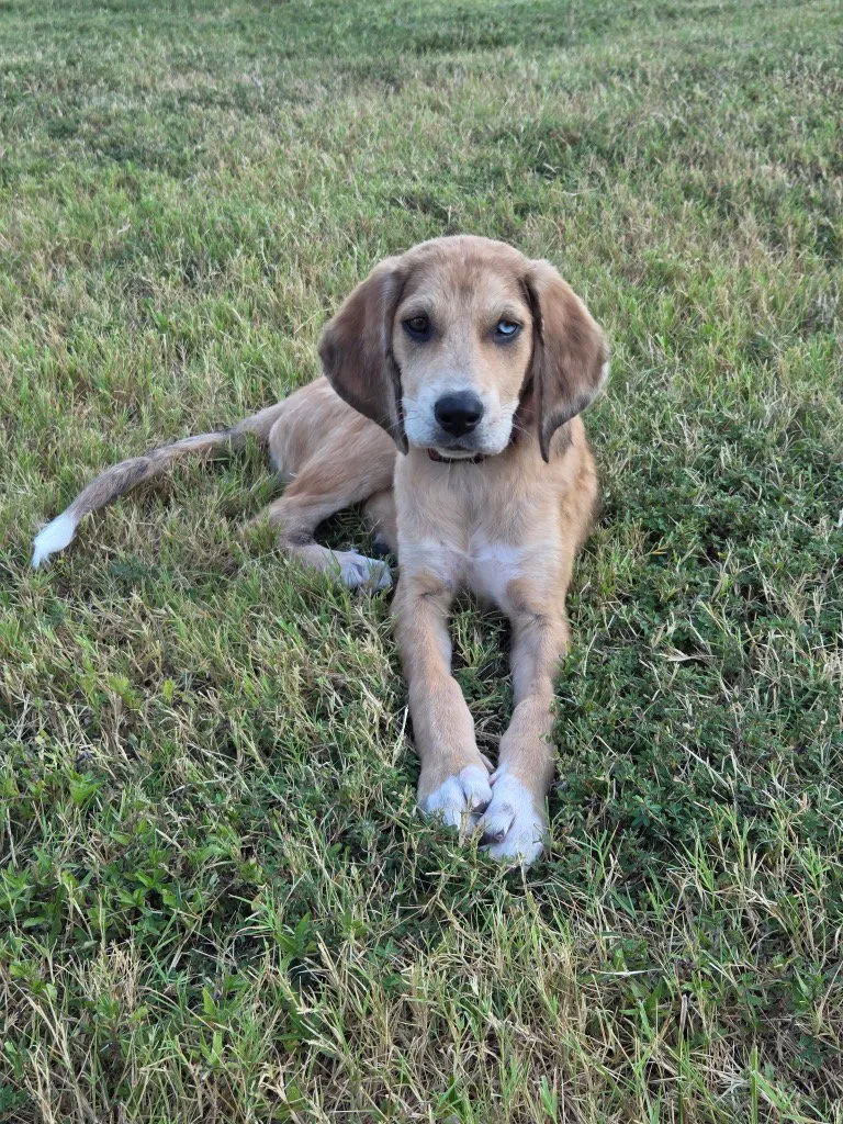 Mabel - Photo 1