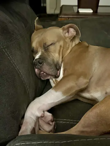 Doby
