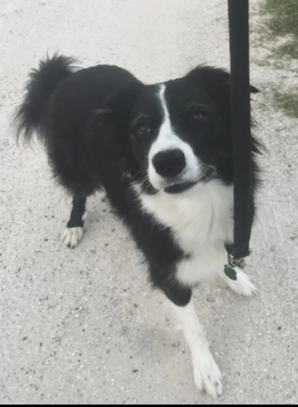 Stella - Photo 1
