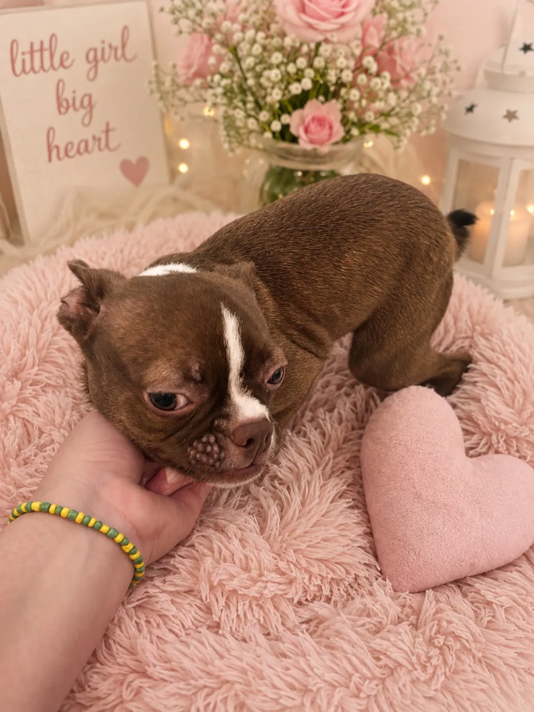 Zoe - Photo 1