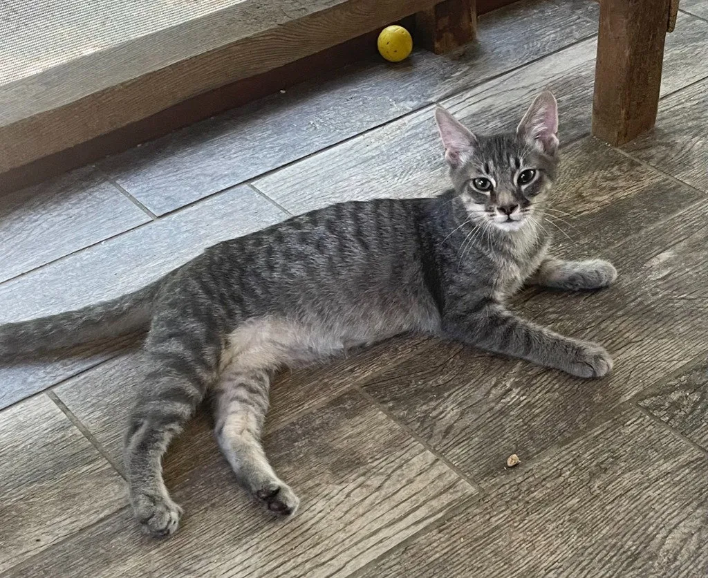 Jeter - Photo 1