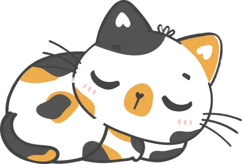 Patches