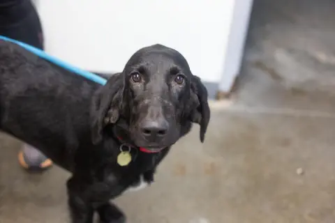 Molly