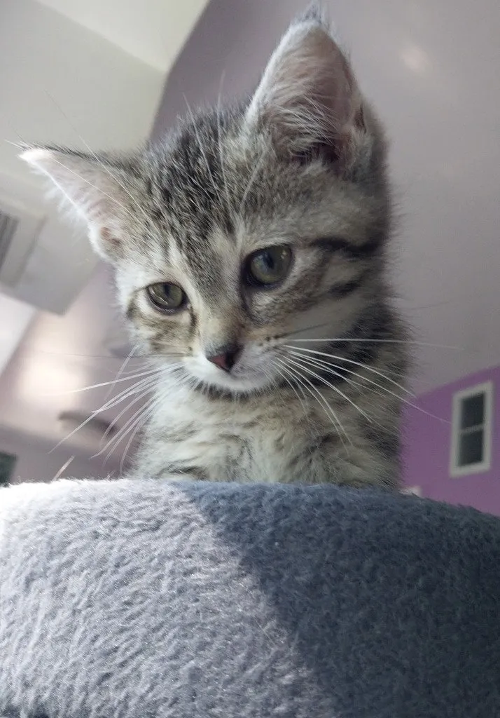 Stormy - Photo 1