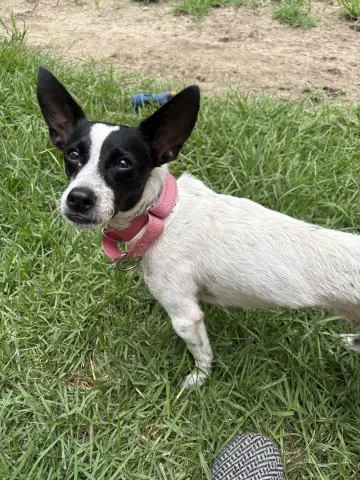 Maggie