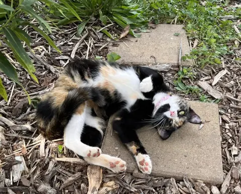 Eleanor