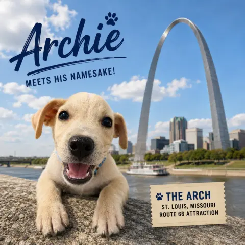 Archie