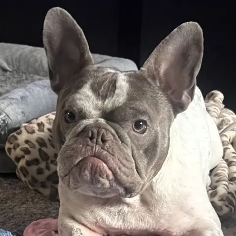 Giuseppe