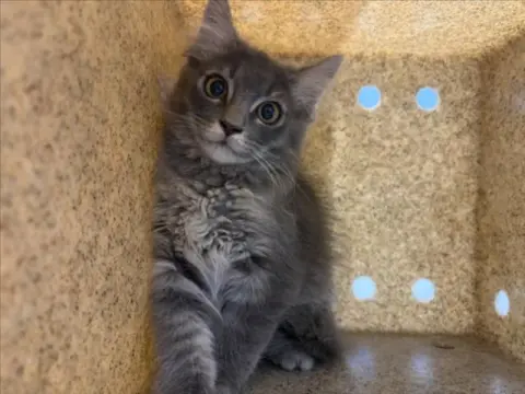 Billy