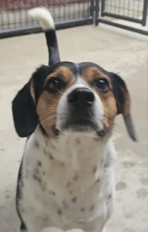 Lil Man