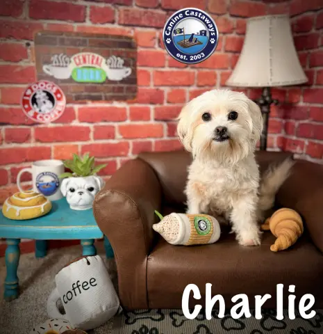 Charlie
