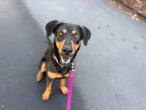 Annie